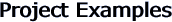 Project Examples