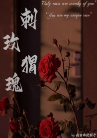 刺猬与玫瑰歌词是什么意思